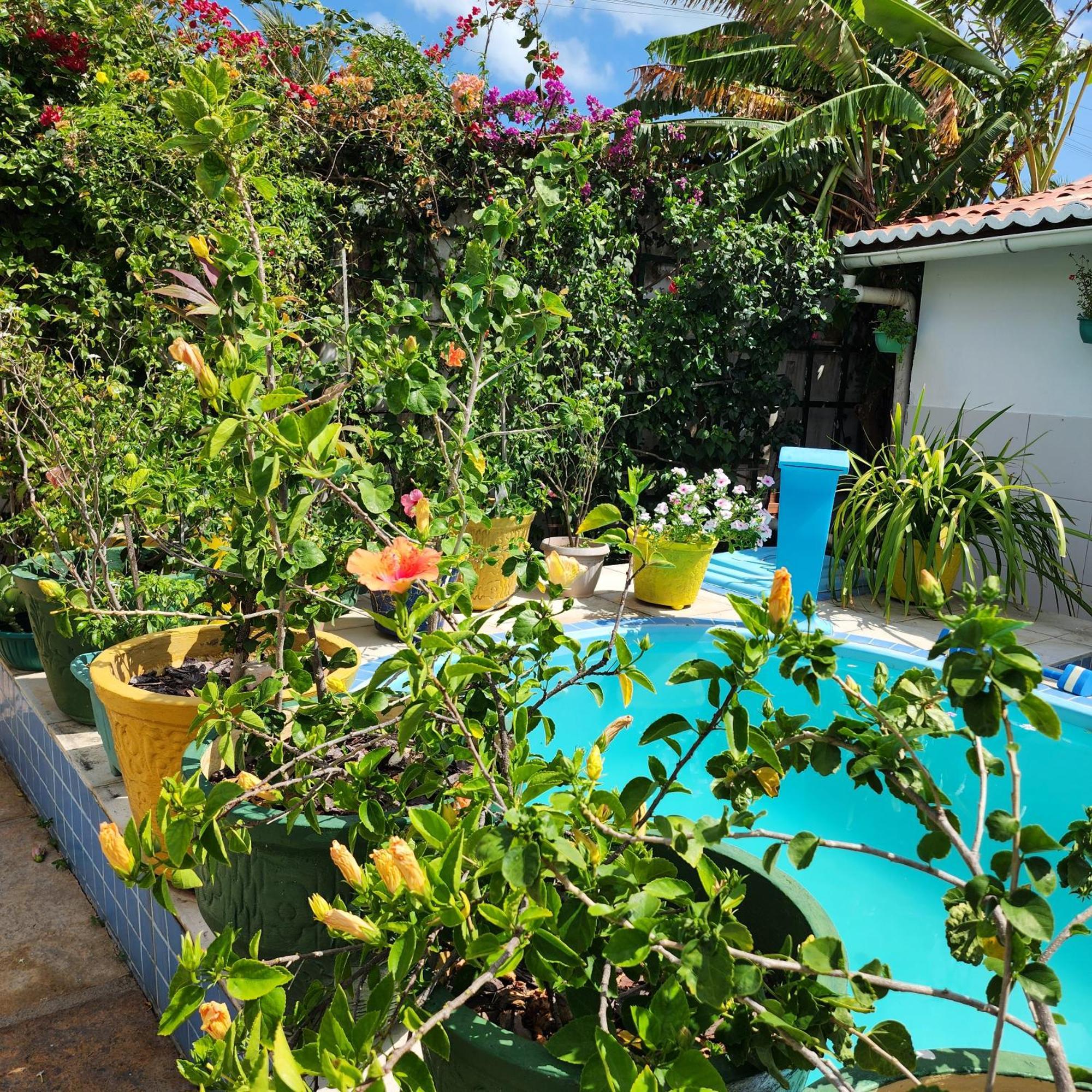 Mandala Dreams Pousada E Portal Holistico Maceió エクステリア 写真