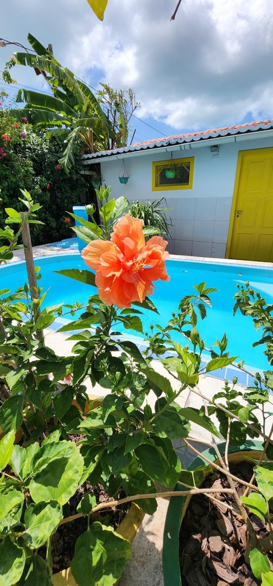 Mandala Dreams Pousada E Portal Holistico Maceió エクステリア 写真