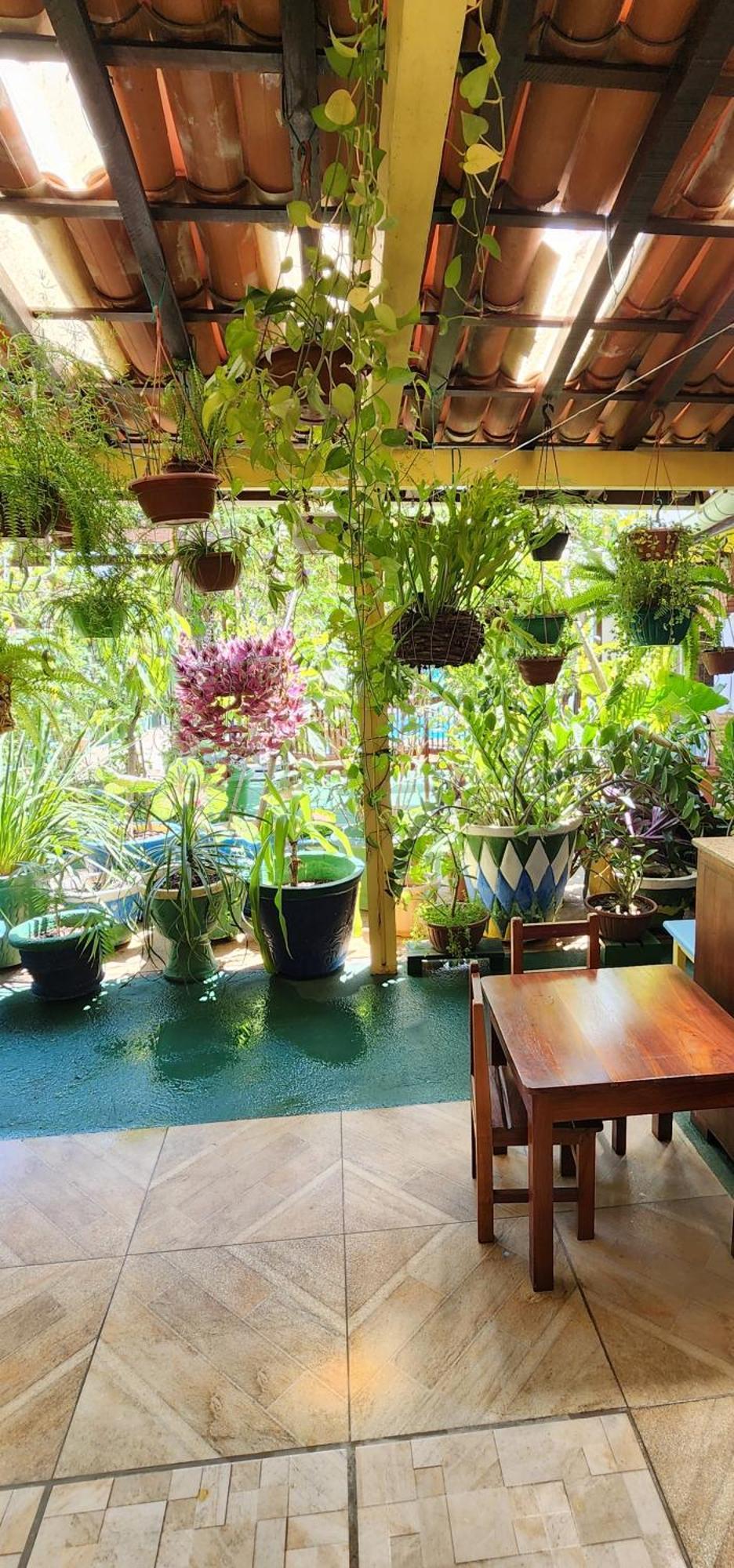Mandala Dreams Pousada E Portal Holistico Maceió エクステリア 写真