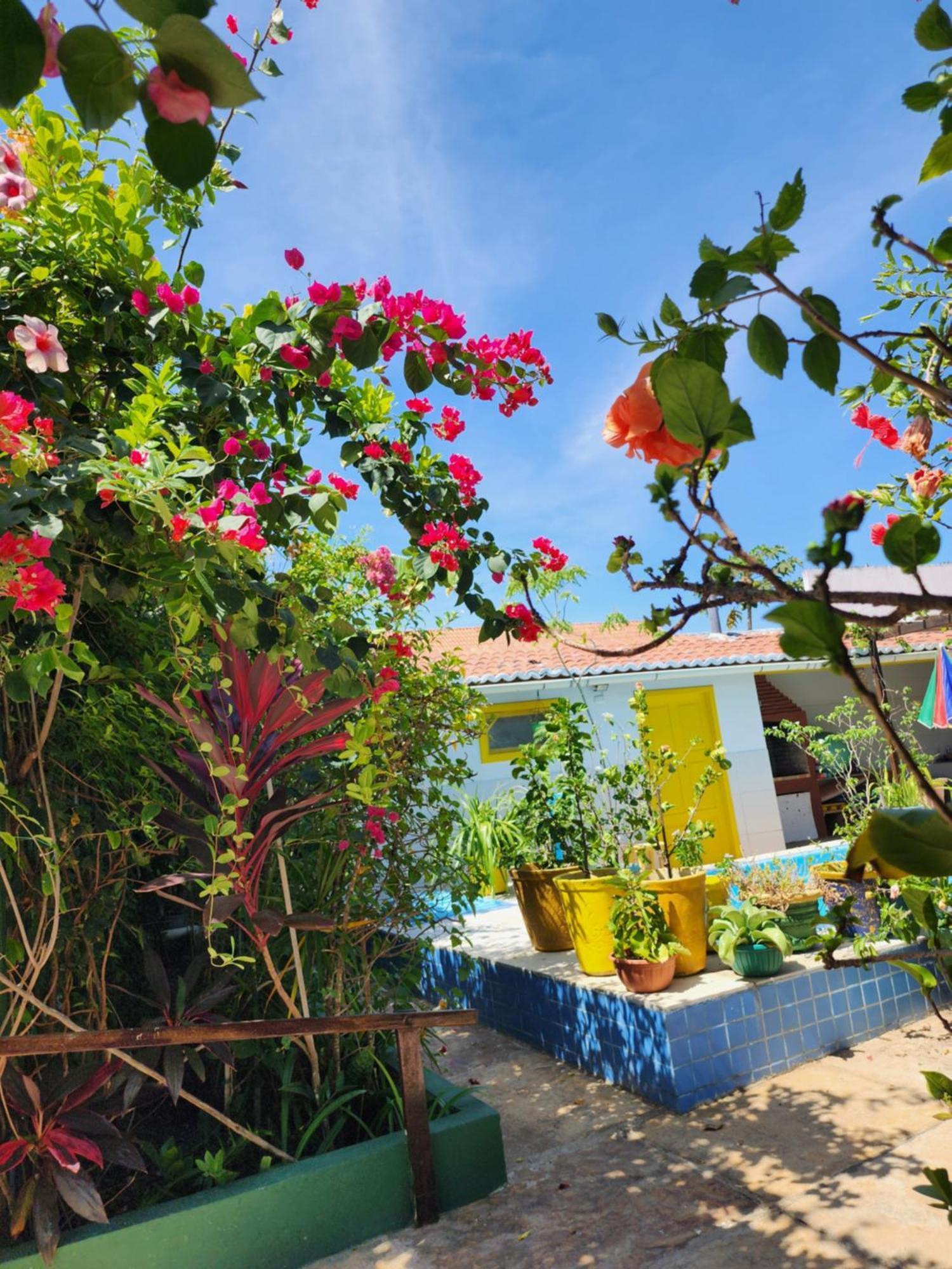 Mandala Dreams Pousada E Portal Holistico Maceió エクステリア 写真
