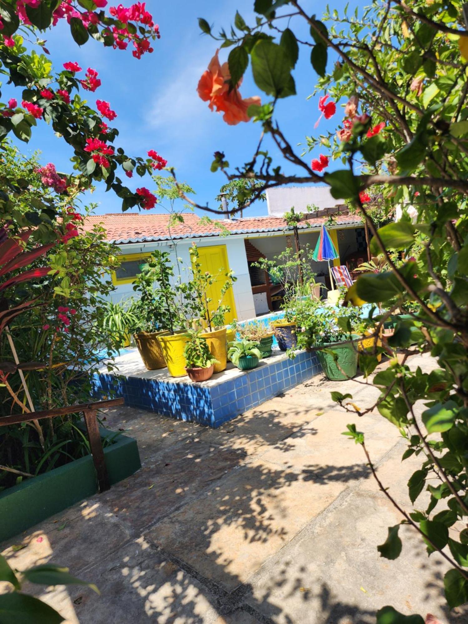 Mandala Dreams Pousada E Portal Holistico Maceió エクステリア 写真