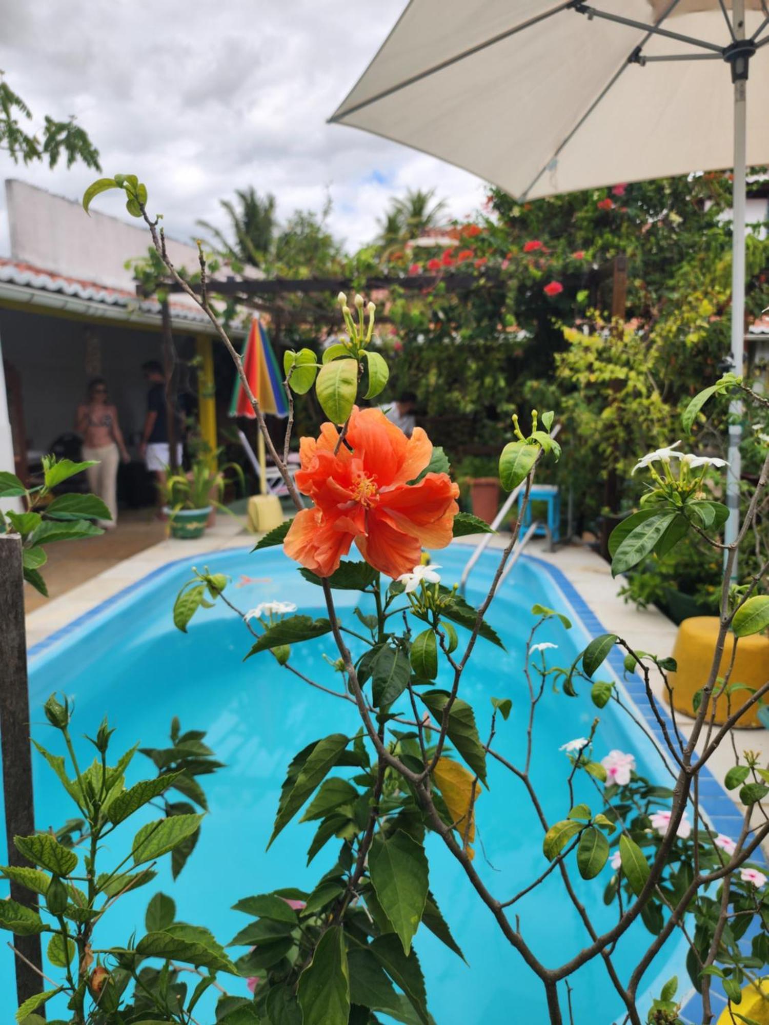 Mandala Dreams Pousada E Portal Holistico Maceió エクステリア 写真