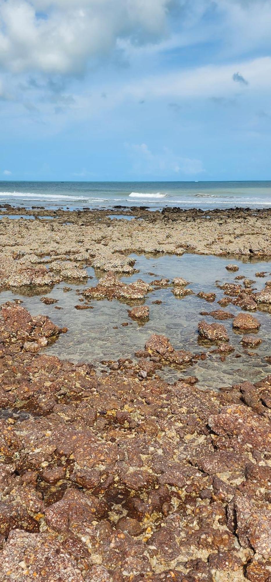 Mandala Dreams Pousada E Portal Holistico Maceió エクステリア 写真