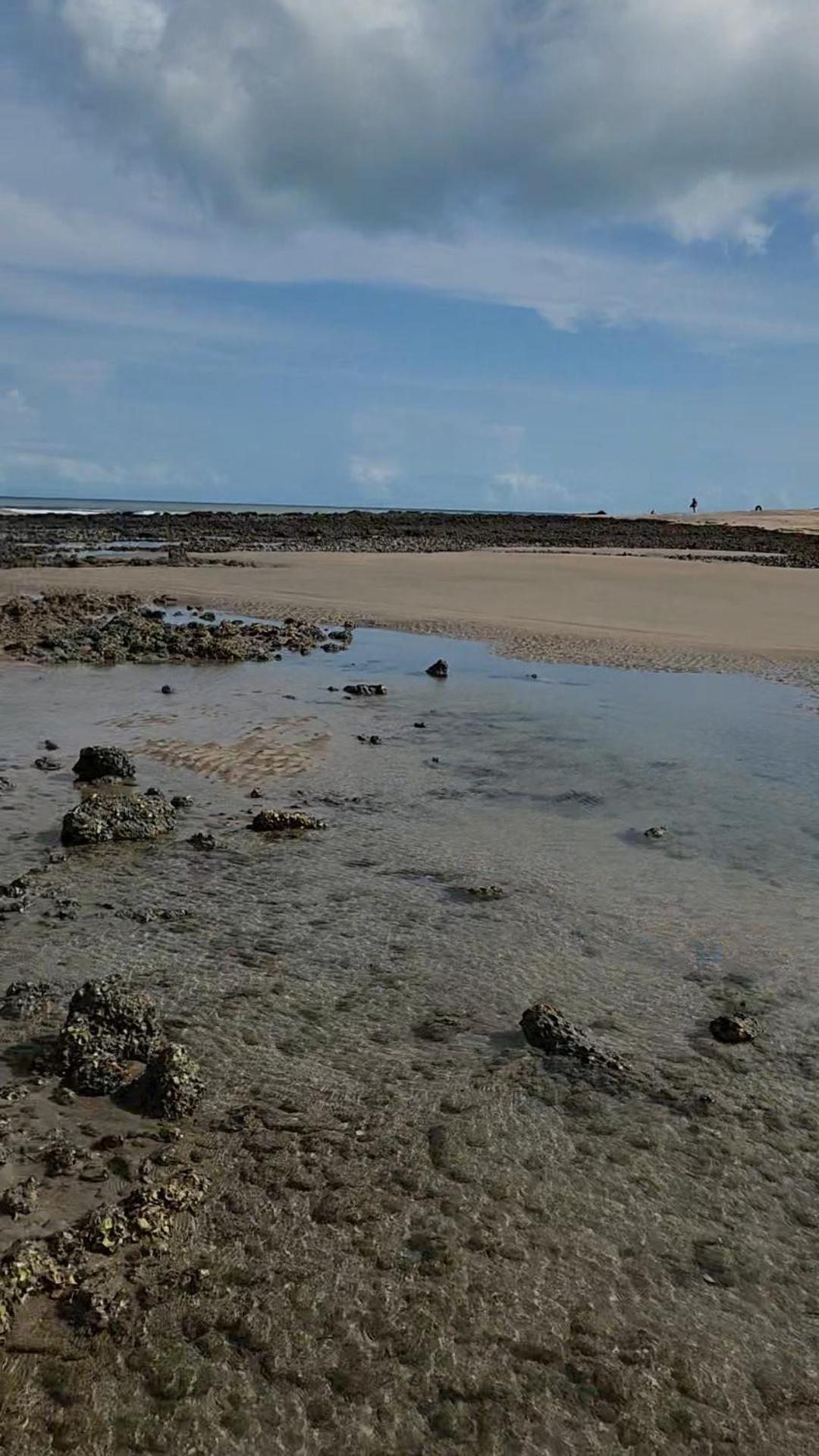Mandala Dreams Pousada E Portal Holistico Maceió エクステリア 写真